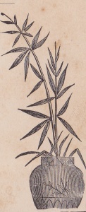 Pugh, J.A. backmark detail4 plant
